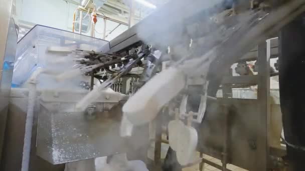 Automated Conveyor Line Automated Production Ice Cream Modern Ice Cream — Video