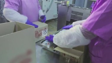 İşçiler kutulara dondurma koyarlar. Kadınlar dondurmaları kutulara koyar. Fabrika iş akışı.