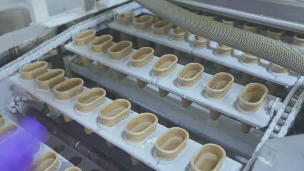 用于生产玻璃杯的输送机生产线 烤华夫饼杯做冰淇淋 — 图库视频影像