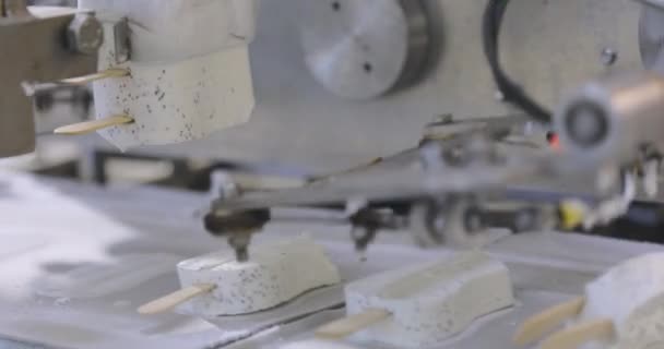 How Ice Cream Made Process Making Ice Cream Automated Ice – Stock-video