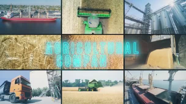 農業会社の碑文 農業企業のインフォグラフィック 農業企業マルチスクリーン — ストック動画