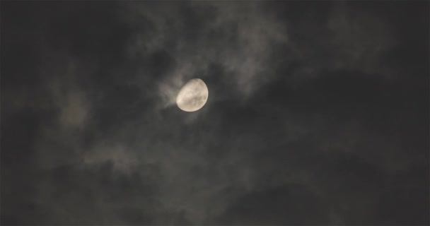 Jasny Księżyc Nocnym Niebie Tle Unoszących Się Chmur Pełnia Księżyca — Wideo stockowe