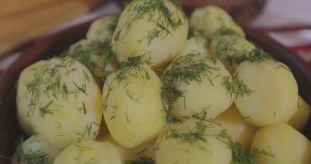 Gotowane Ziemniaki Koperkiem Ukraińska Kuchnia Ludowa Dania Kuchni Ukraińskiej — Wideo stockowe