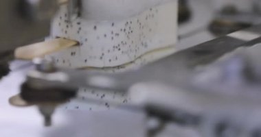 Automated conveyor line for the production of ice cream. Automated production of ice cream. Modern ice cream factory.