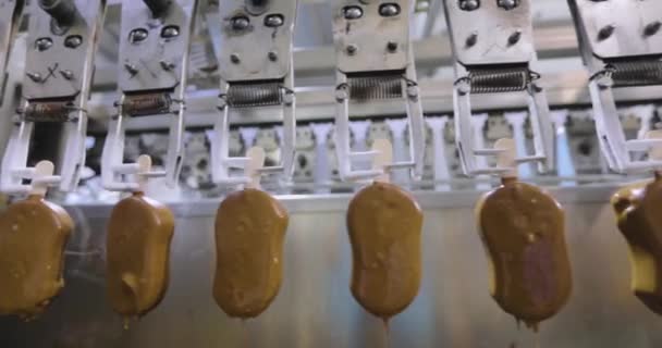 Freezing Ice Cream Factory Automatic Production Ice Cream Ice Cream — Stockvideo