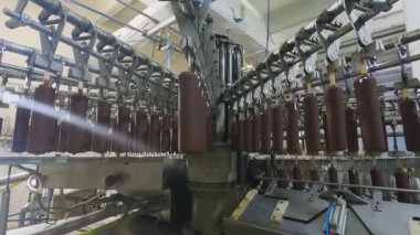Automated conveyor line. Automated production of ice cream. Modern ice cream factory.
