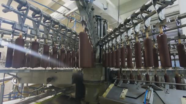 Automated Conveyor Line Automated Production Ice Cream Modern Ice Cream — Wideo stockowe