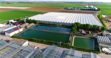 Büyük bir seranın üzerinden uçmak. Seralarda sebze yetiştiriyor. Büyük, modern bir sera. seralar hava görüntüsü.