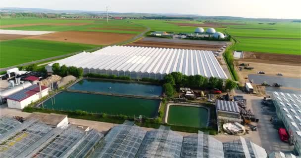 Survol Une Grande Serre Cultiver Des Légumes Serre Grande Serre — Video