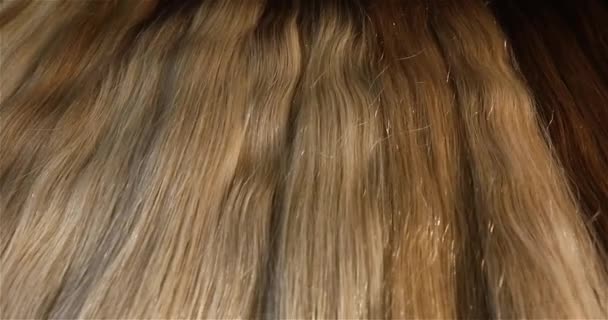 False Hair Hair Hair Extension Exhibition Multicolored Hair Extensions Beauty — Stock Video