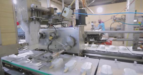 Apparatus Sorting Ice Cream Ice Cream Dosing Machine Conveyor Line — Stockvideo