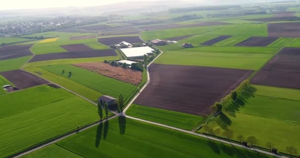 飞越绿色农田 飞越美丽的农田 耕地和温室空中景观 — 图库视频影像