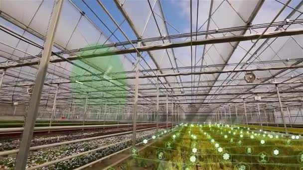 Concept Agrobusiness Visualisation Serre Intelligence Artificielle Dans Les Serres Fleurs — Video