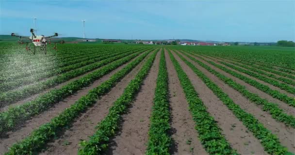 Usare Droni Agricoltura Spruzzare Campi Agro Droni Agricoltura Agro Droni — Video Stock