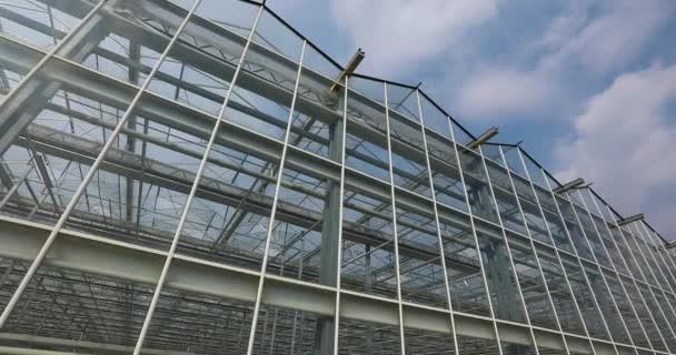 大きな温室の外側に 大きなモダンなガラス温室のパノラマ 大規模な工業用温室のガラスファサード — ストック動画