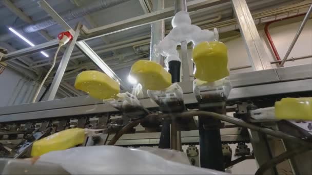 Мороженое Фабрике Автоматическое Производство Мороженого Производство Мороженого Заводе — стоковое видео