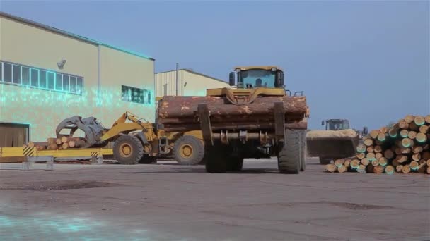 Traktor Transportiert Stämme Durch Das Gelände Des Sägewerks Moderner Sägewerkhof — Stockvideo