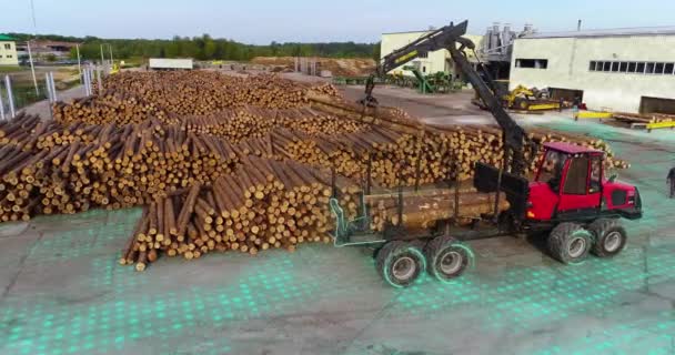 Auto Manipulator Arm Loads Logs Modern Equipment Timber Factory Modern — Stock Video