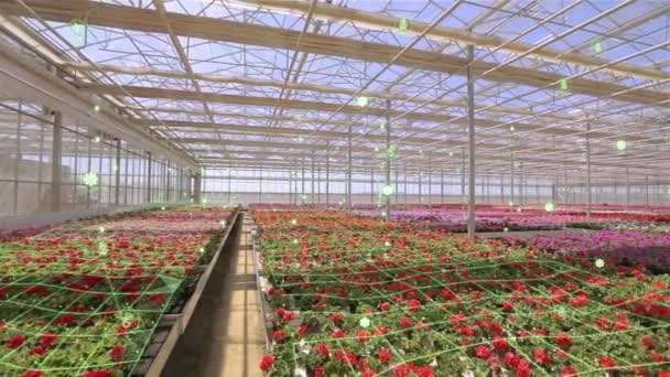 Smart Greenhouse Control Parameters Greenhouse Smart Greenhouse Concept Flowers — Αρχείο Βίντεο