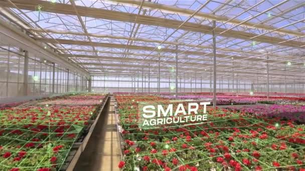 Smart Greenhouse Control Parameters Greenhouse Smart Greenhouse Concept Flowers — Stock Video