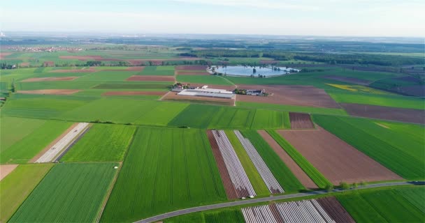 Vlucht Groene Landbouwvelden Vlucht Prachtige Landbouwvelden Agrarische Velden Kassen Vanuit — Stockvideo
