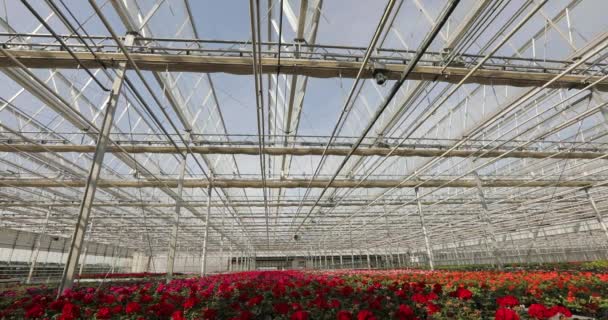 Glass Roof Greenhouse Automatically Closes Automatic Closing Roof Greenhouse Timelapse — Stock Video