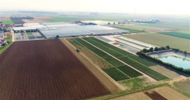 Büyüyen çiçekler ve süs bitkileri için büyük bir ticari sera.