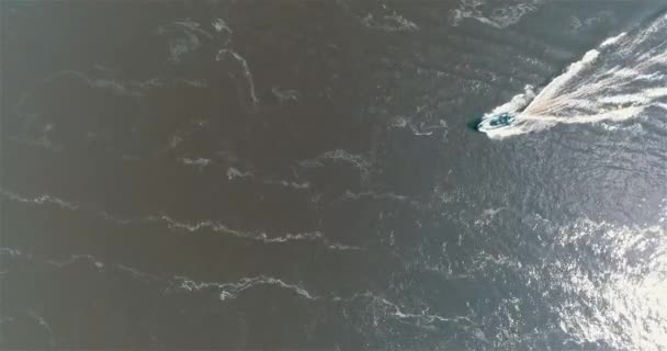巡逻艇在圆圈中漂浮 巡逻艇俯瞰 河中的快速巡逻艇 — 图库视频影像