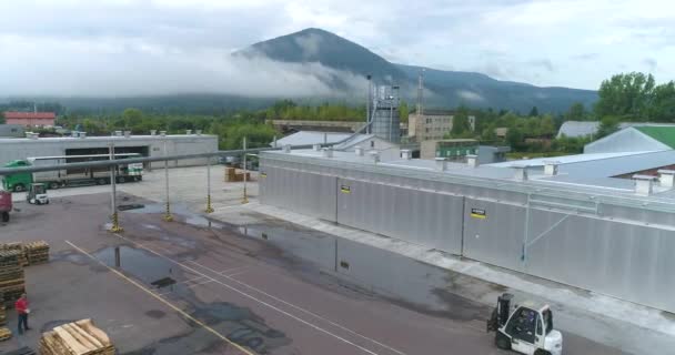 Pemandangan Atas Pabrik Kayu Besar Sebuah Penerbangan Atas Pabrik Kayu — Stok Video