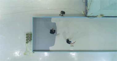 İnşaatçılar endüstriyel bir binanın zeminine polimer kaplama uyguluyorlar. Profesyonel bir ekip fabrika atölyesinde polimer döşeme yapıyor..