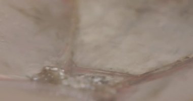 Endüstriyel suyun boşaltılması. Tankın kimyasal temizliğinden sonra atık su. Su borudan akıyor, sıcak su buharlaşıyor.