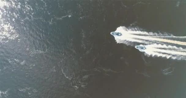パトロールボートは 無人機から見たように川に沿って航行します 高速パトロールボート ボートは水の周りをパトロールします — ストック動画