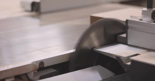 Carpintaria Máquina Serra Mesa Circular Para Máquina Corte Madeira — Vídeo de Stock