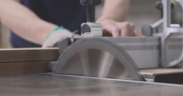 Ξυλουργικές Κυκλική Επιτραπέζια Μηχανή Για Μηχάνημα Κοπής Ξύλου — Αρχείο Βίντεο