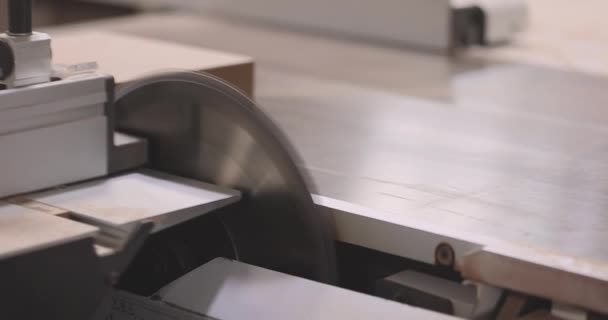 Faipar Kerek Asztali Fűrészgép Faforgácsoló Géphez — Stock videók