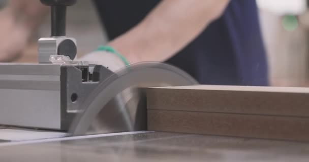 Træbearbejdning Cirkulært Bord Saw Machine Til Træ Skæremaskine – Stock-video