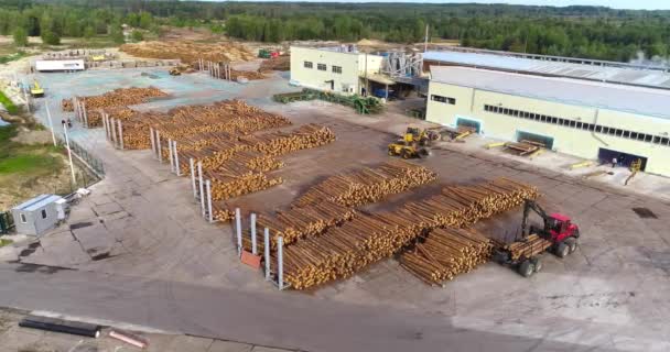 木工会社の大きな庭 現代的な製材所のトップビューの概念 木材加工会社のログとヤード 現代の製材所の庭に多くのログ — ストック動画