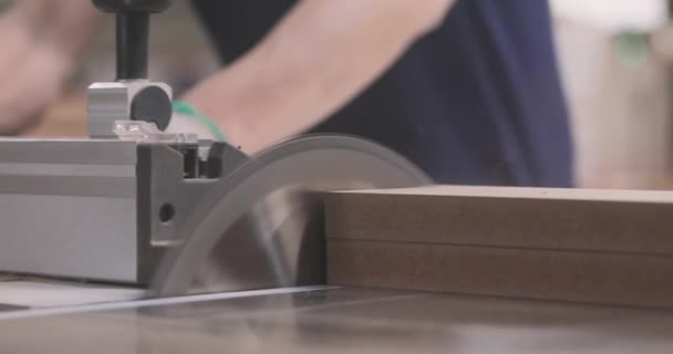 Træbearbejdning Cirkulært Bord Saw Machine Til Træ Skæremaskine – Stock-video