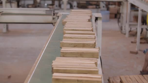 Pekerja Pada Baris Konveyor Dari Pabrik Furnitur Pekerja Memilah Balok — Stok Video