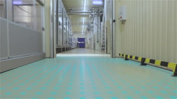 Smart Conveyor Food Factory Smart Food Production Smart Food Factory — Wideo stockowe