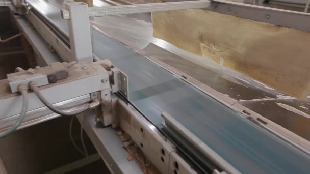 Jalur Produksi Otomatis Sebuah Pabrik Furnitur Proses Produksi Papan Perabotan — Stok Video