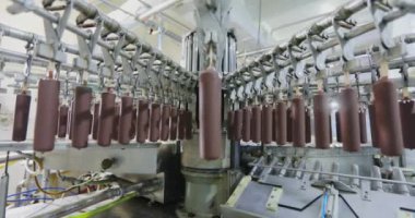Automated conveyor line. Automated production of ice cream. Modern ice cream factory.