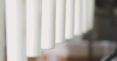 Ice cream is dipped in chocolate. Ice cream factory. Ice cream in chocolate glaze.