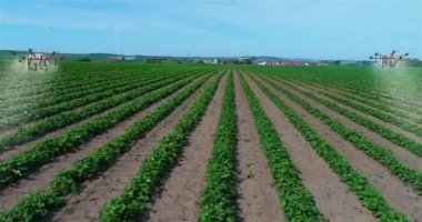 Tarımdaki dronları tarlaları ilaçlamak için kullanıyorlar. Tarım İHA 'ları. Tarım İHA' ları. Ekin ilaçlama dronları. Tarımsal tarlalar serpiliyor.