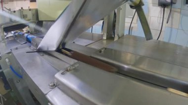 Automated conveyor line. Automated production of ice cream. Modern ice cream factory.
