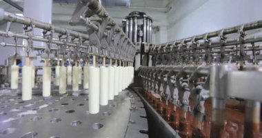 Freezing ice cream at the factory. Automatic production of ice cream. Ice cream production at the factory.