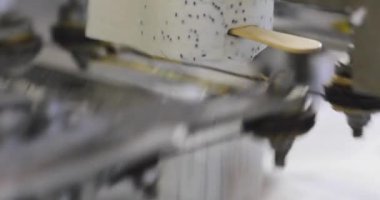 Automated conveyor line for the production of ice cream. Automated production of ice cream. Modern ice cream factory.