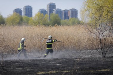 Bükreş, Romanya - 5 Nisan 2022: İtfaiyeciler Vacaresti parkı doğa koruma alanındaki bitki örtüsü yangınını söndürmeye çalışıyorlar.