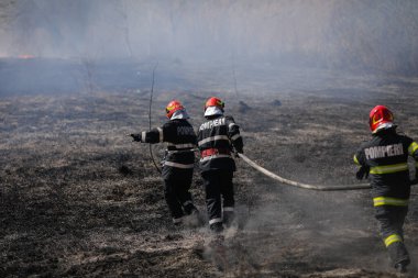 Bükreş, Romanya - 5 Nisan 2022: İtfaiyeciler Vacaresti parkı doğa koruma alanındaki bitki örtüsü yangınını söndürmeye çalışıyorlar.