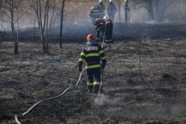 Bükreş, Romanya - 5 Nisan 2022: İtfaiyeciler Vacaresti parkı doğa koruma alanındaki bitki örtüsü yangınını söndürmeye çalışıyorlar.